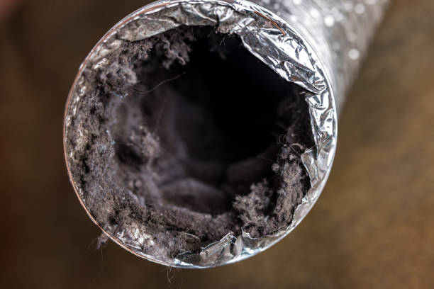 Best Local Air Duct Cleaning Services  in Marion, MS